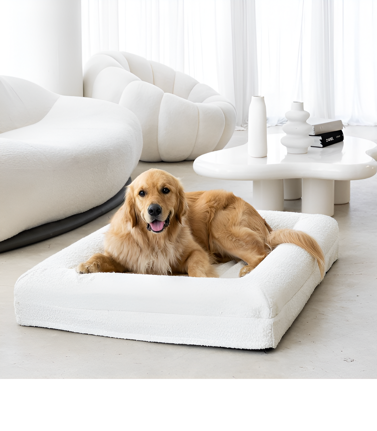 Tapis & Lit