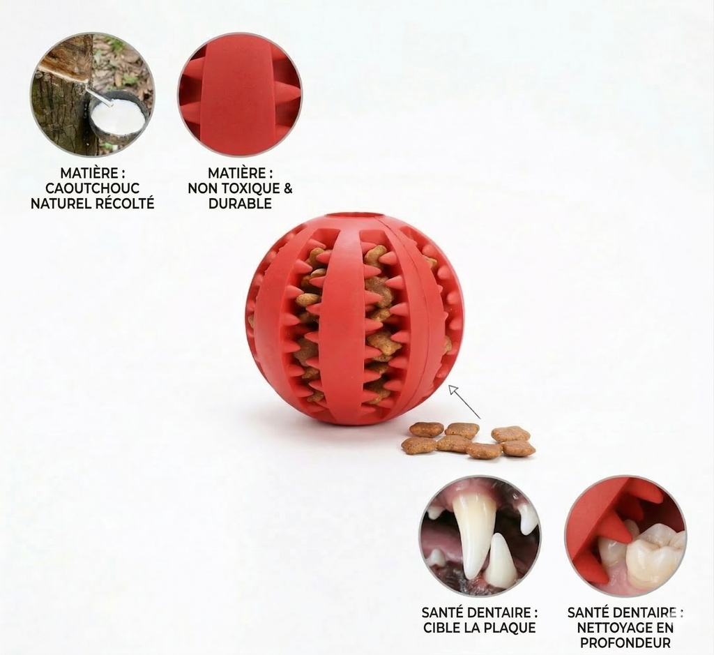 Balle Interactive en Caoutchouc pour Chien