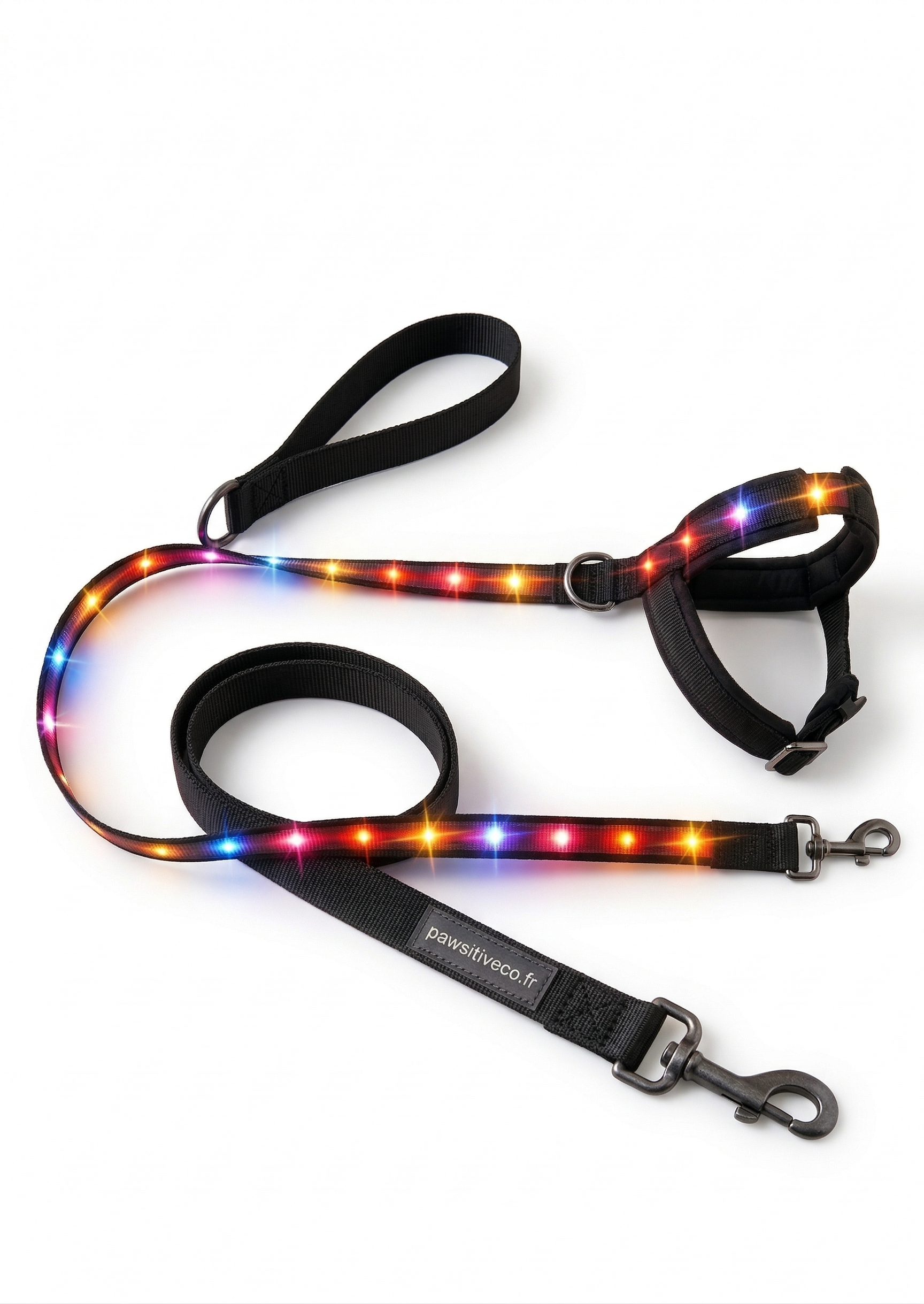 Laisse lumineuse LED pour chien